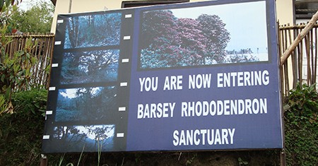 Barsey Rhododendron Sanctuary