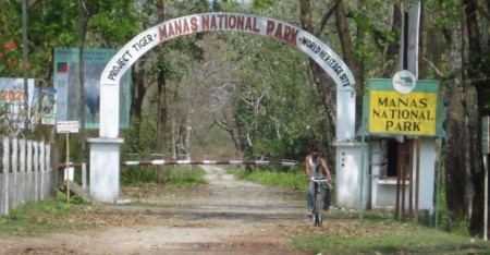 Manas National Park